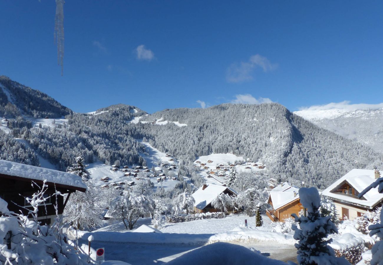 Apartment in La Clusaz - Alpée 2 - Apartment in chalet for 4 people 2*