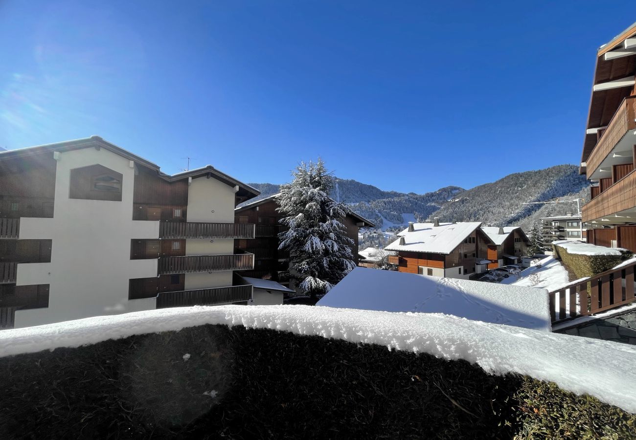 Apartment in La Clusaz - Cybele, apartment C1 - 4/5 pers. 2* near village