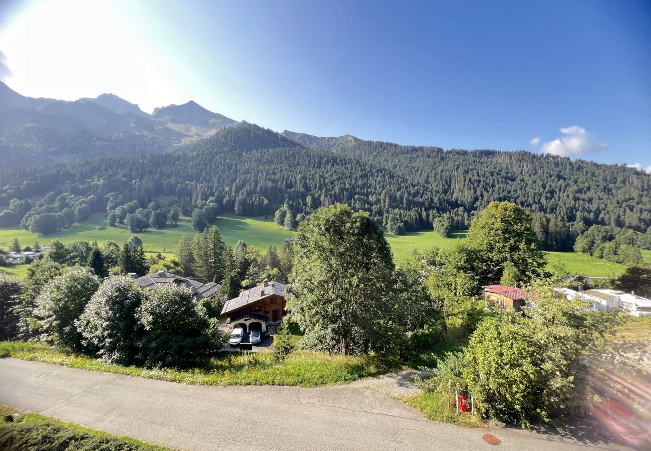 Apartment in La Clusaz - Référence 507 